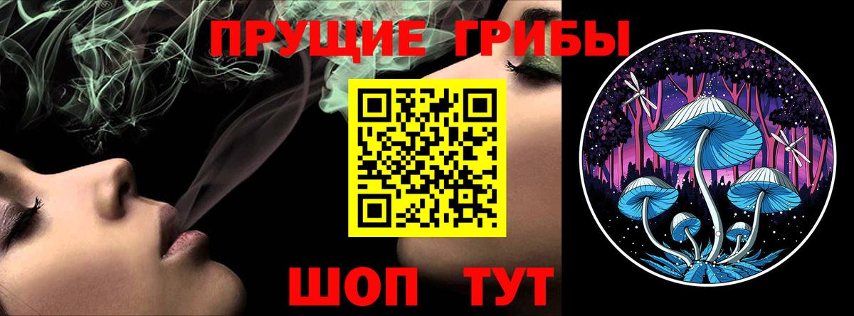 наркошоп  Кузнецк  Галлюциногенные грибы прущие грибы 